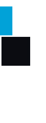 Bridge Management Services